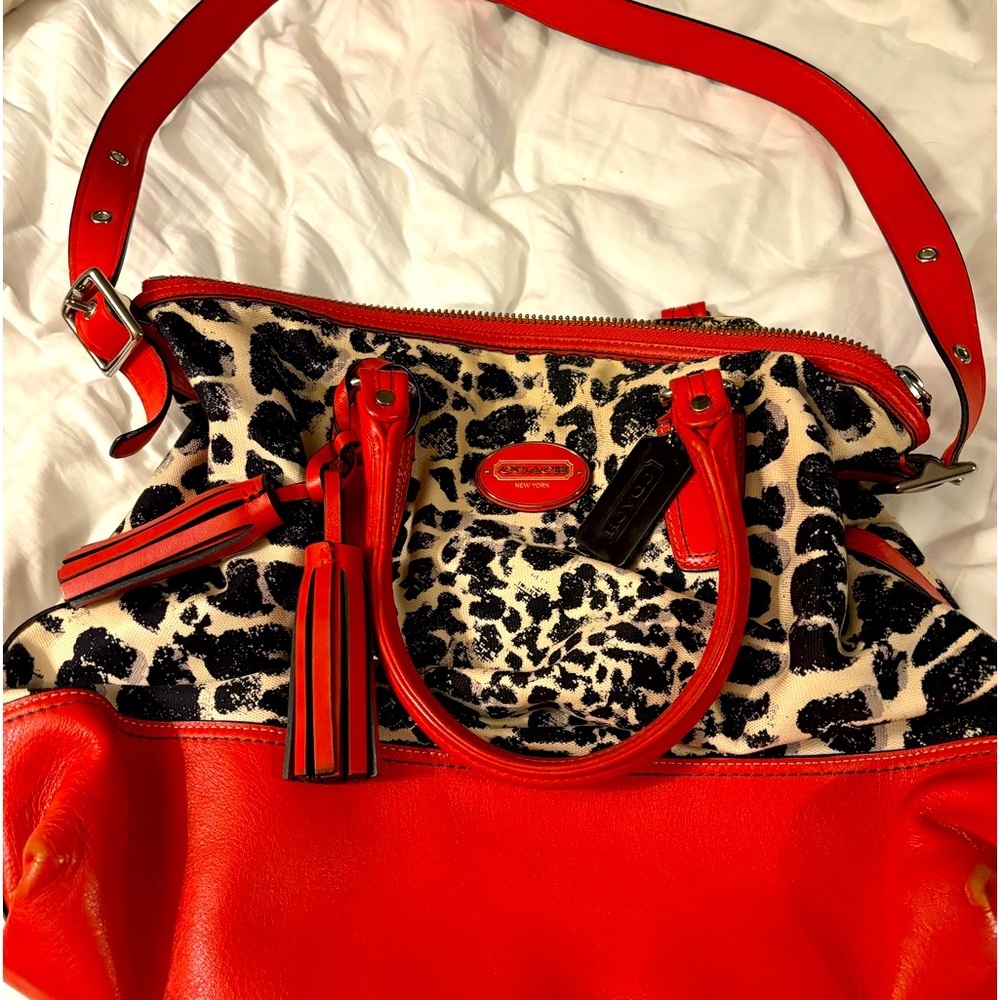 Gorgeous animal print Coach bag.